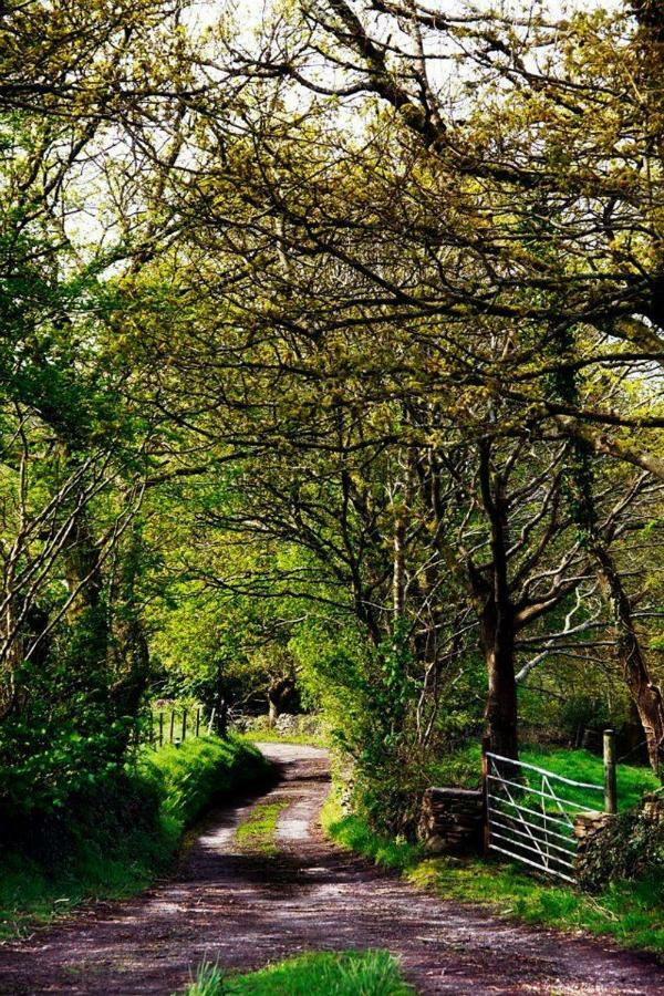 Cilhendre Holiday Cottages - The Dairy Swansea Eksteriør bilde